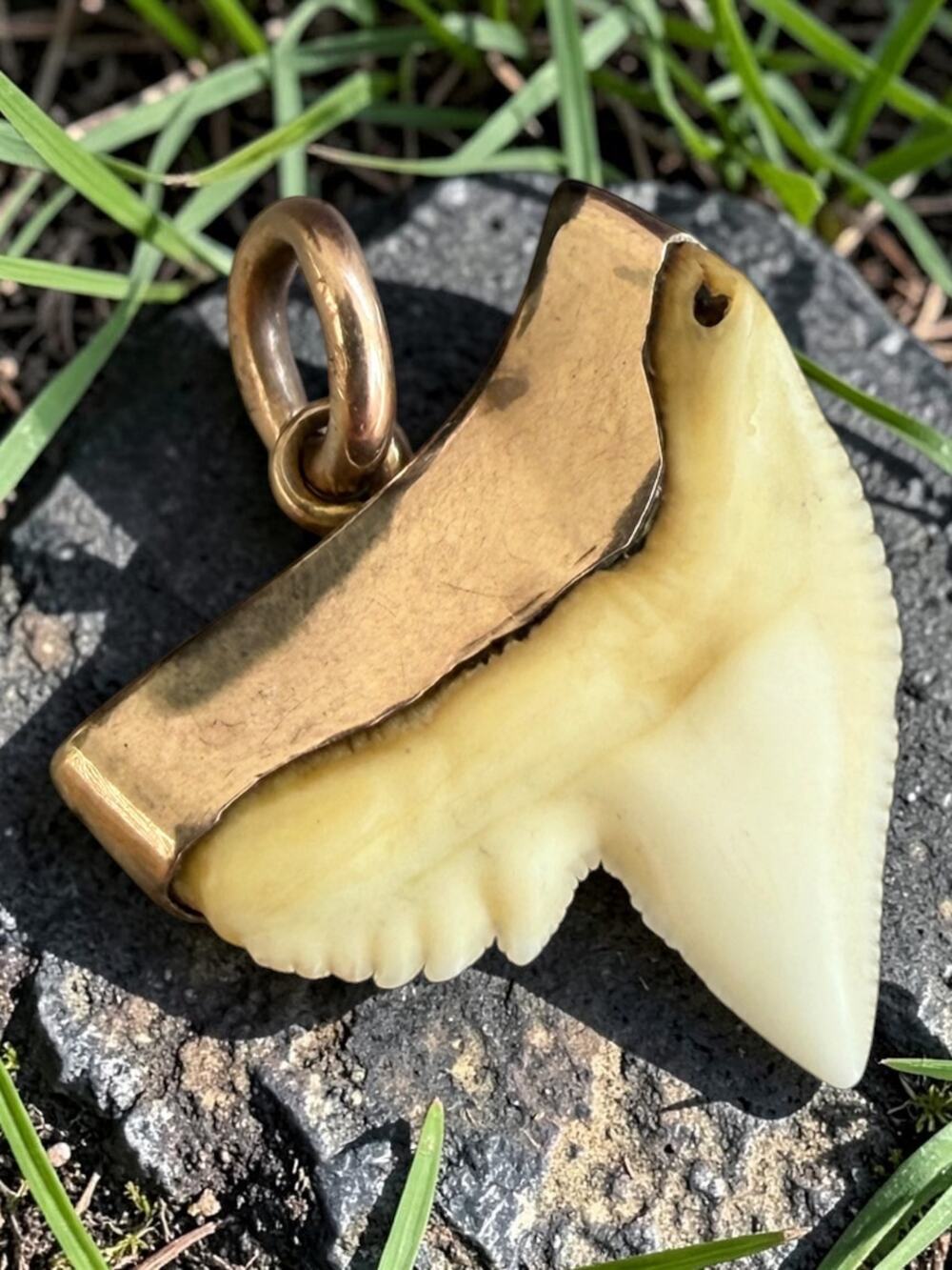 Vintage 9ct Gold Shark Tooth Pendant - Picture 6 of 7